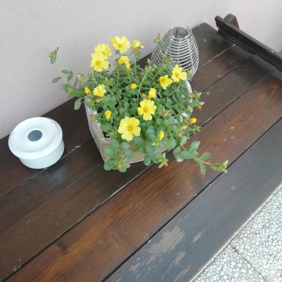 A&G Apartment Zanica エクステリア 写真