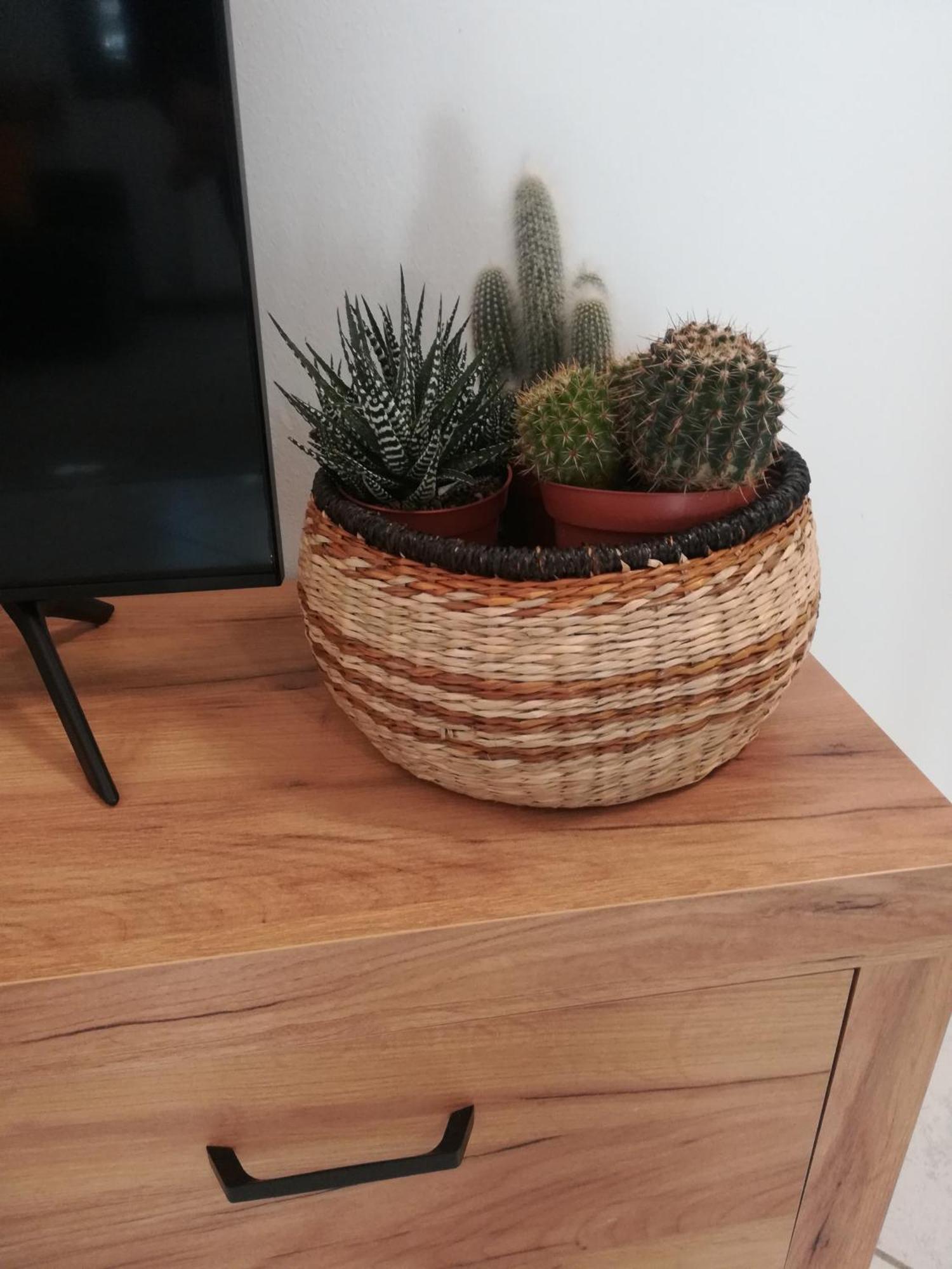 A&G Apartment Zanica エクステリア 写真