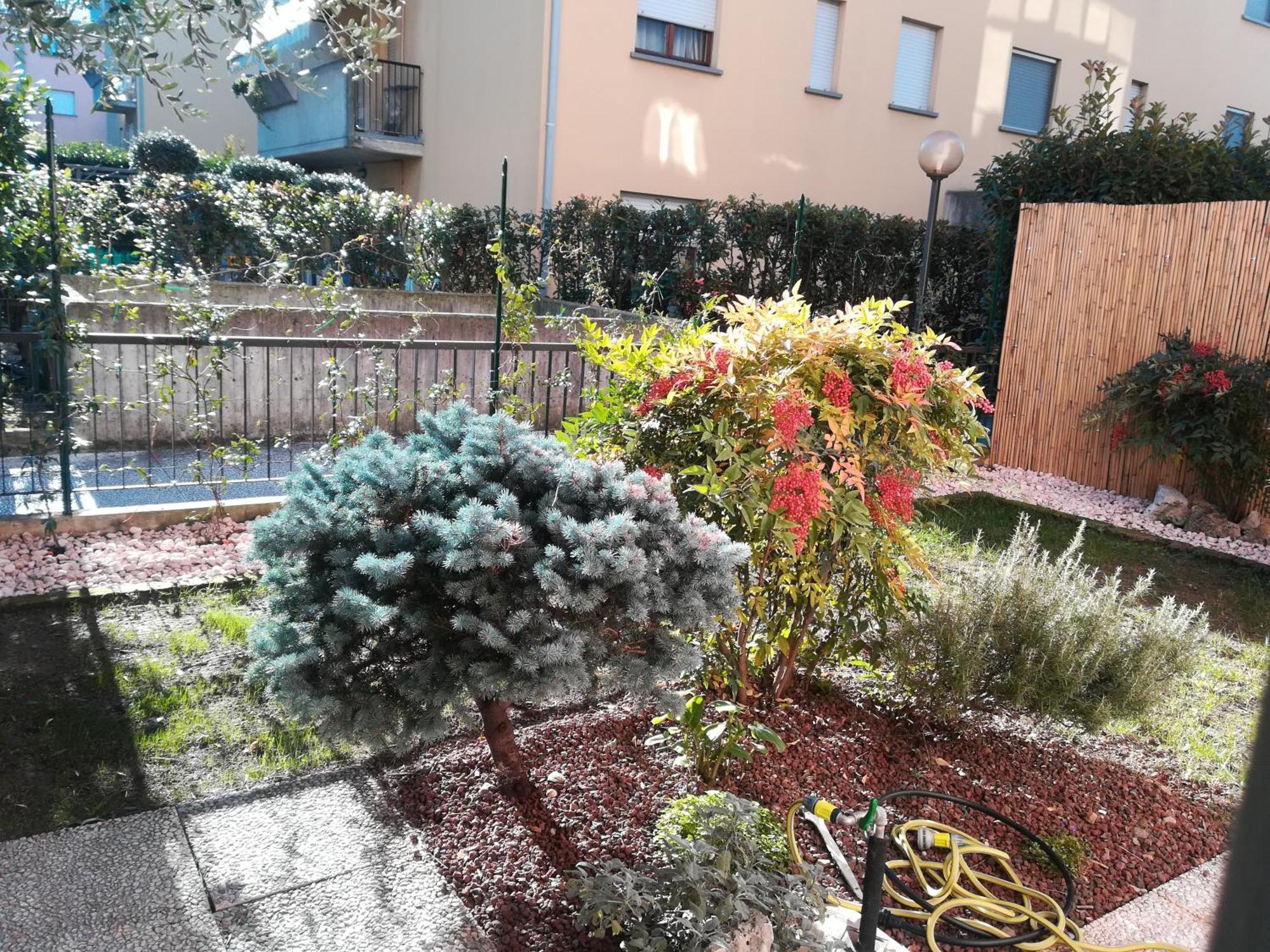 A&G Apartment Zanica エクステリア 写真